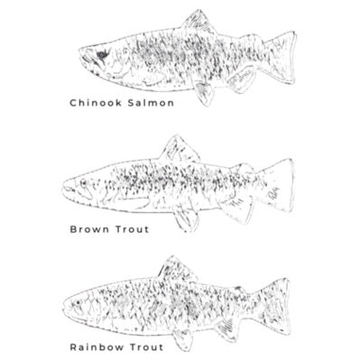 Fish - Thread Project Unisex Epic Tee Design