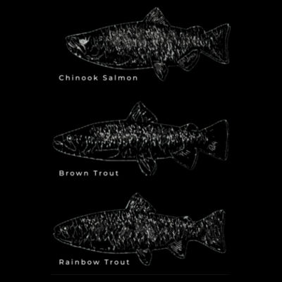 Fish - Thread Project Womens Diva Tee Design